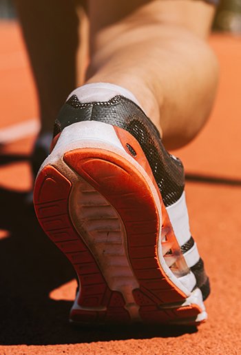 Programa Avançado em Nutrição no Desporto e Exercício
