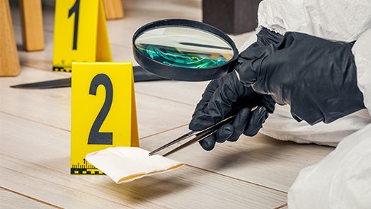 Máster en Criminología Aplicada - salidas profesionales