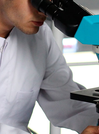 Investigaci&oacute;n y Doctorado