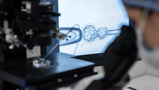 Prácticas profesionales del Máster de Formación Permanente en Biotecnología Aplicada a las Técnicas de Reproducción Humana Asistida, Genética e Investigación